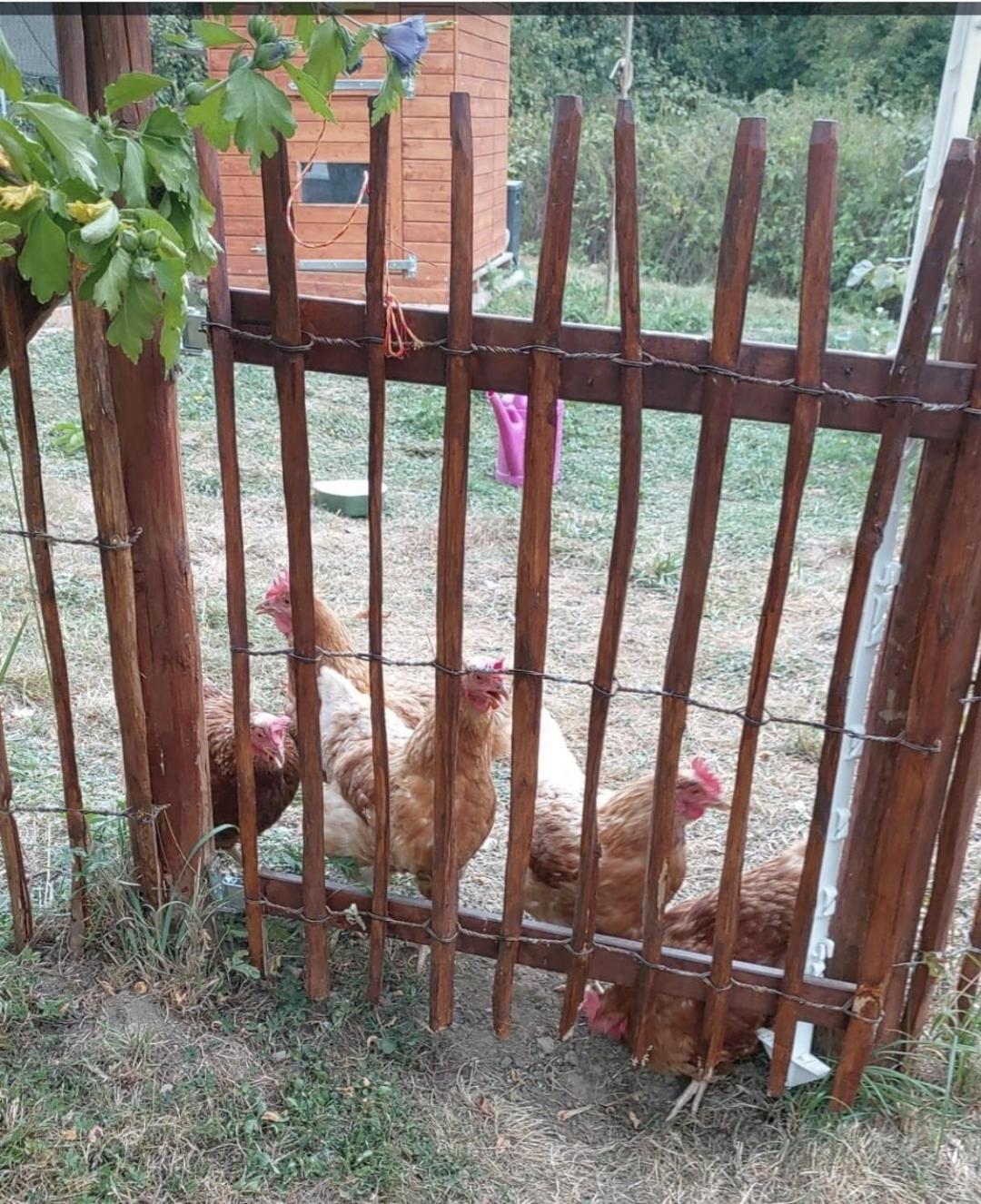 Sometimes Zimmer Gehaichnishof 7Born Maring-Noviand Dış mekan fotoğraf